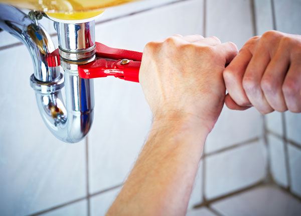 About Congress Plumbers